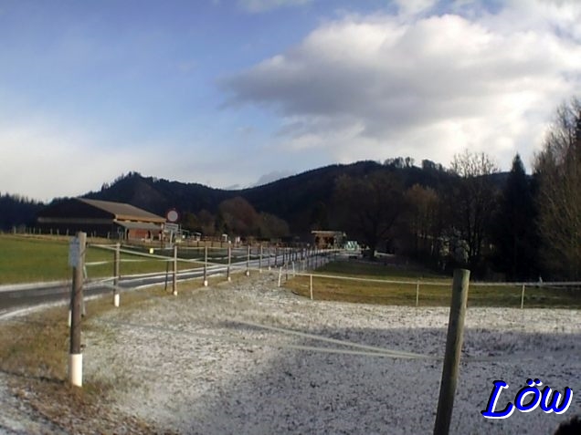 30.12.2025 - P&ouml;glhof Gest&uuml;t